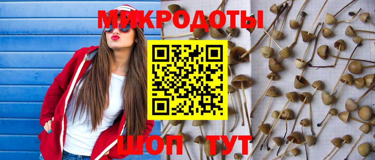 Псилоцибиновые грибы ЛСД  Вход с VPN  Галлюциногенные грибы мухоморы  Кингисепп 